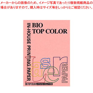 oCIgbvJ[ A4 100 BT104 sN 1y~[فz