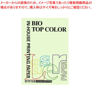 oCIgbvJ[ A4 100 BT105 O[ 1y~[فz