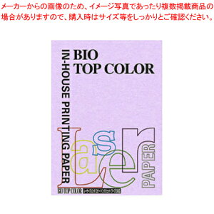 oCIgbvJ[ A4 100 BT110 x_[ 1y~[فz