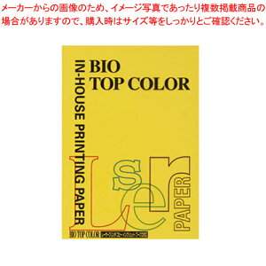 oCIgbvJ[ A4 100 BT116 TCG[ 1y~[فz