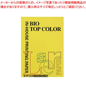 oCIgbvJ[ A4 100 BT129 }X^[h 1y~[فz