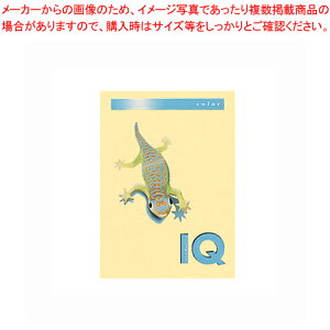 oCIgbvJ[ A4 250 BT801 N[ 1y~[فz