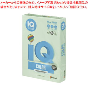 oCIgbvJ[ A4 250 BT806 MO[ 1y~[فz