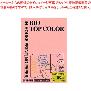 oCIgbvJ[ A3 100 BT204 sN 1y~[فz