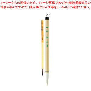 M  {g 4tC+͕ tbN ALS-100 1y~[فz