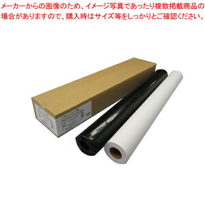 大判インクジェット用紙 普通紙(エコノミー80) 2本入り IJPR-9150E(80)N 1箱【厨房館】