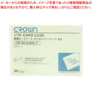 \tgJ[hP[X A3 |ItB CR-SCA3RN-T 1y~[فz