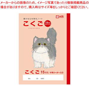 y܂Ƃߔ10ZbgizwK  15}XR NP25 1y~[فz