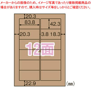 y܂Ƃߔ10ZbgizNtgx _{[p A4 12 OPD861 _[NuE 1Py~[فz