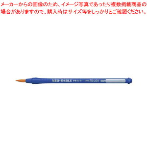 ӂ lIZ[u ەM6 pbN XZBNR-6 1Py~[فz