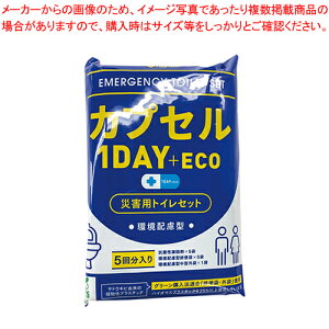 }CbgJvZ 1day+ECO 10100018 1y~[فz