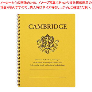 �X�v�����O�m�[�g �P���u���b�W P903 1���y�~�[�فz