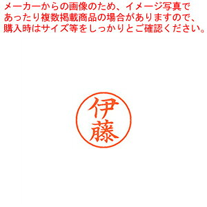 ネーム9 既製 伊藤 XL-9 0177 イトウ 1本【厨房館】