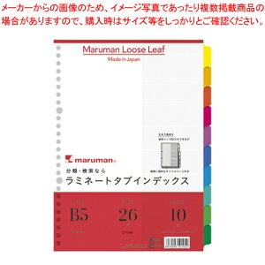 ラミネートタブインデックス 10山 LT5010 1冊【厨房館】