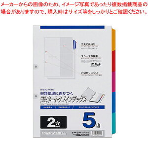 ~l[g^uCfbNX 2 5R LT4205 1y₷  Jt d؂ t@Cpzy~[فz