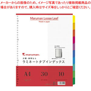 ~l[g^uCfbNX L10R LT3010 1yItBX     ~l[g pE` NA|Pbg A4 ^e L Ch CfbNX 10R 30zy~[فz