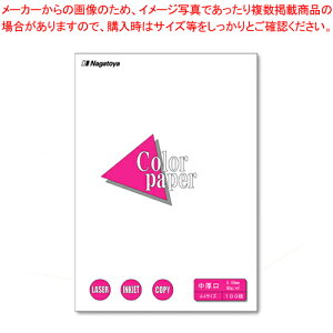 カラーペーパーA4 中厚口 100枚 ナ-3201 シロ 1冊【厨房館】