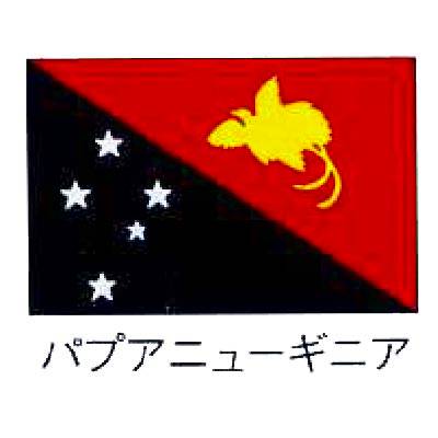 最高の 業務用 旗 世界の国旗 パプアニューギニア 140 210 Vasleague Com