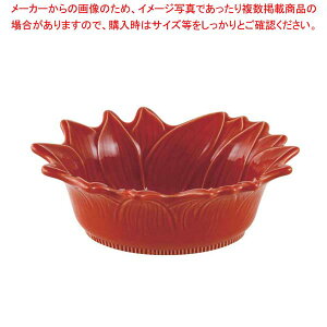 A|[A T_{[ 22cm `F[ 070222010yƖp  ~[pi ~[@ vp ̔Ȃ zy~[فz