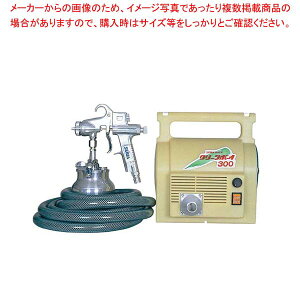 dXv[ ZC N[{[C 300Ey~[فz