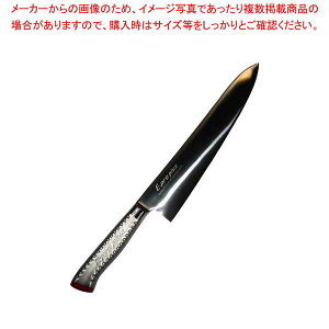 EBM E-pro PLUS  30cm bhy~[فz