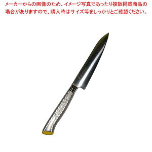 EBM E-pro PLUS yeB[iCt 15cm CG[y~[فz