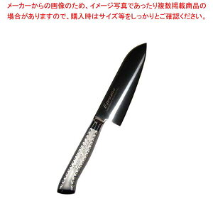 �y�܂Ƃߔ���10�Z�b�g�i�z EBM E-pro PLUS �O���^ 16.5cm �u���b�N�y�~�[�فz