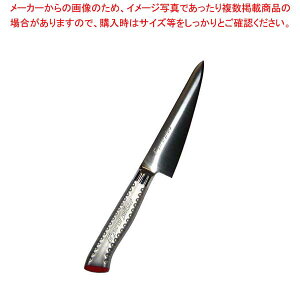 EBM E-pro PLUS 骨スキ 角型 15cm レッド【厨房館】
