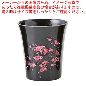 y܂Ƃߔ10ZbgizJbv   B52-27y~[فz