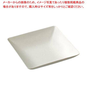 �\���A �p���v �v���[�g 65×65mm(50��)VO52040�y�~�[�فz