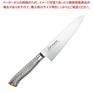 EBM E-pro PLUS  30cm uEy~[فz