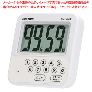 h^C}[ 100v TM-16WP y~[فz