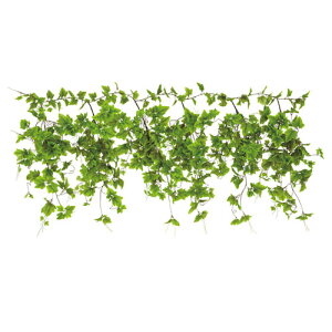 lHϗtA O[V_K[h|gX1{ 61-174-2-1 yoEfBXvCpi Xpi tFCNO[ilH؁j O[V_K[h tFCNO[zy~[