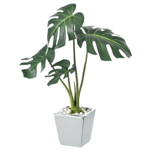 y܂Ƃߔ10ZbgizlϗtA lH؃Xe3 61-174-8-1 y oEfBXvCpi Xpi tFCNO[ilH؁j O[|bg tFCNO[