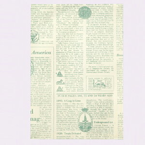  u ANA 23×33.5cm 50 61-304-15-5 ybsOpi    uzybsOpi  bsO  y[p[obO Օi Ɩpzy~[فz