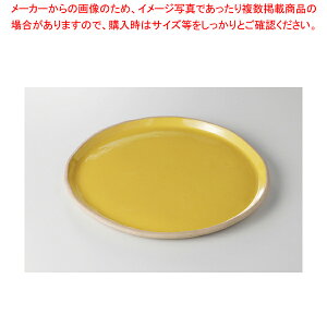 CG[ 24cmێM 37K053-06y~[فz