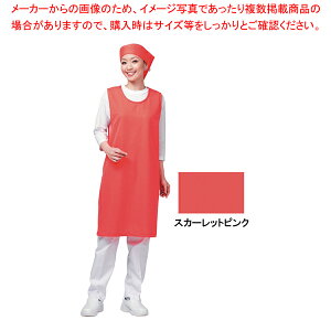 ACbVGv m[X[u^Cv E5100 44 SsNy~[pi      jz[ ~[pi     Ɩpzy~[فz