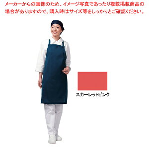 アイメッシュエプロン たすき掛けタイプ E5200 44T Sピンク【厨房用品 調理器具 料理道具 小物 作業 白衣 ユニホーム 厨房用品 調理器具 料理道具 小物 作業 業務用】【厨房館】