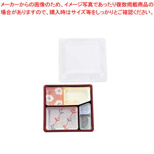 ʂ TSR-70 t/(50Zbg)yƖp ٓ  `{bNX lC ٓ `{bNX ȕٓ ^ ٓz yo^C zy~[فz