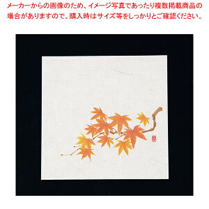 j[lG 5(100) NS-14 Ԃ݂yopi   ӂƂ낪 Ɩpzy~[فz