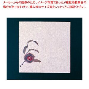 O~5(100)Iyopi   ӂƂ낪 opi   ӂƂ낪 Ɩpzy~[فz