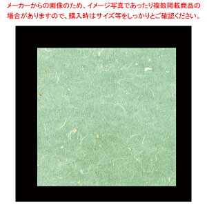 OP_~ |F(100) OPG-63 9cmpy~[pi     Ɩpzy~[فz