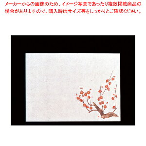 ԕۑN  (100) ~yopi | opi | Ɩpzy~[فz