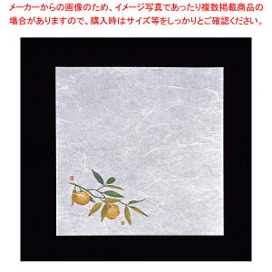 VEG򏑎(100) Mqyopi ~ opi ~ Ɩpzy~[فz