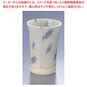 t[Jbv D06-20y      OX       Ɩpzy~[فz