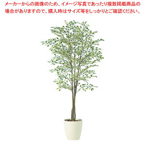 SG xW~i X^[Cggv 90724 2.0mylH 蕨zy~[pi     ~[pi     Ɩpzy~[فz