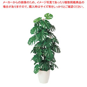 SG Xe 90762 1.4mylH 蕨zy~[pi     ~[pi     Ɩpzy~[فz