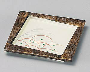 aH ~100-208 H^^LpMy~[فz