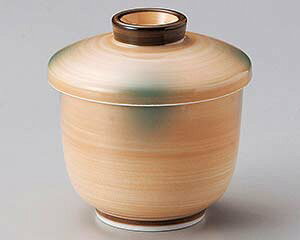 aH c111-138 IWO^ނqy~[فz