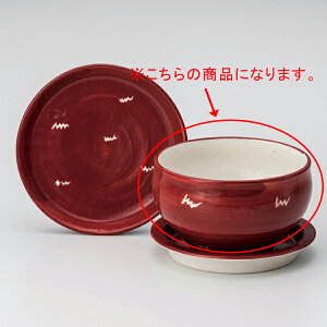 y܂Ƃߔ10ZbgizaH I358-078 NEWWDON5.0{[yLZ/ԕiszy~[فz